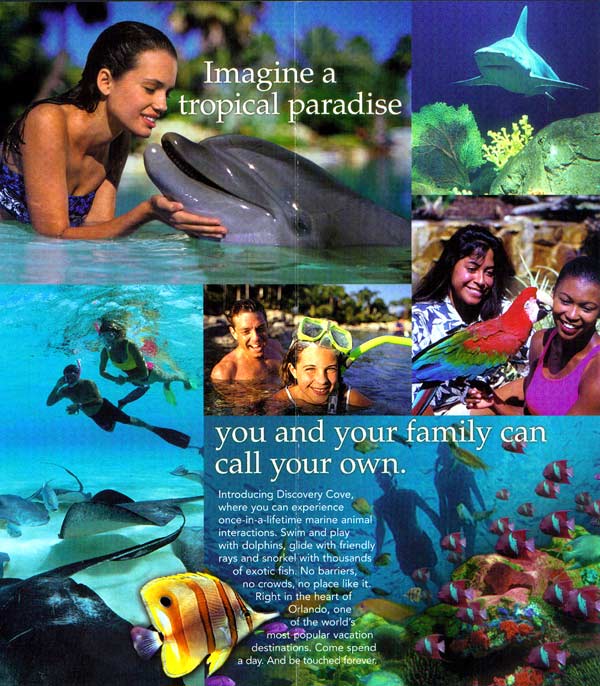 Discovery Cove Brochure 2000_2
