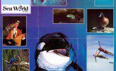 Sea World of Ohio Brochure 1992_3