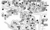 Action Park Map 1996