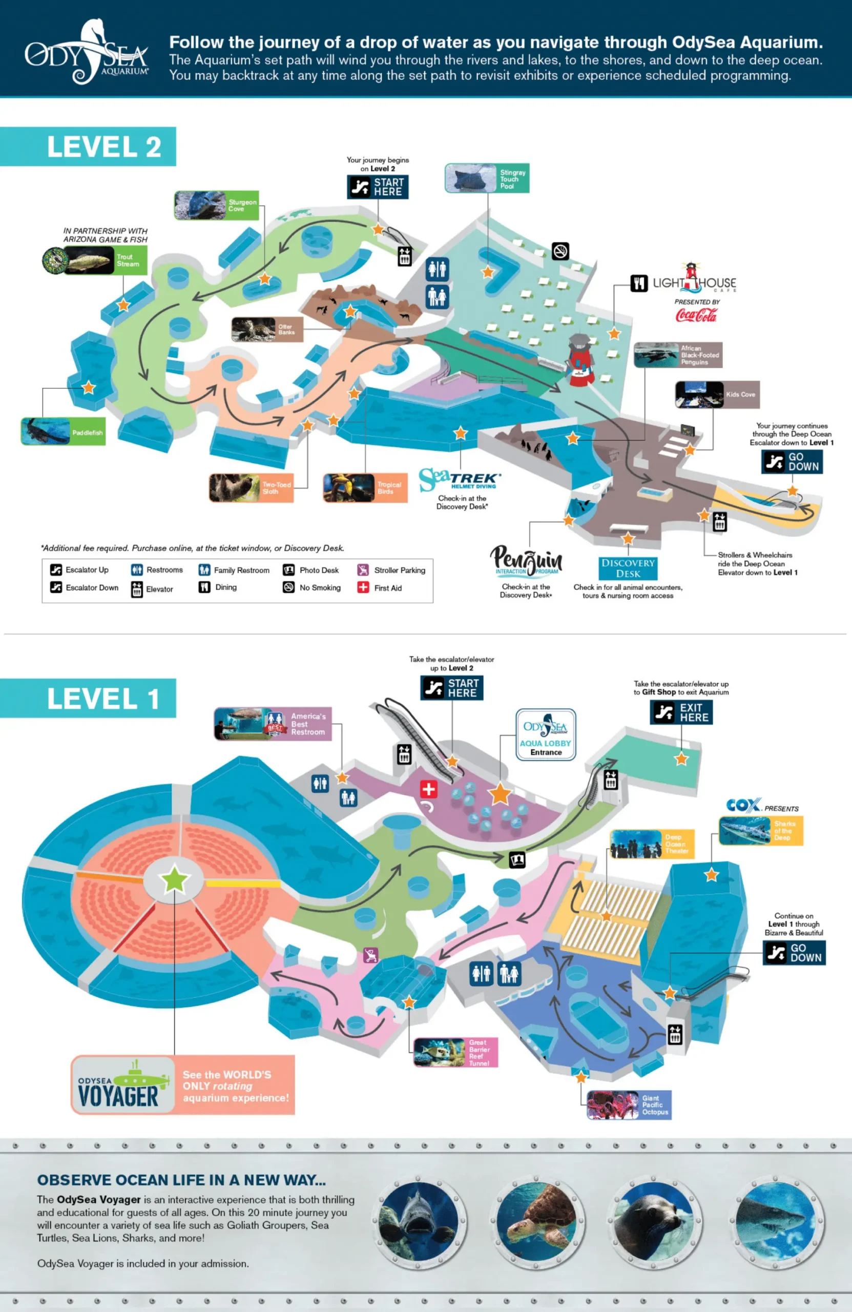 OdySea Aquarium Map 2025
