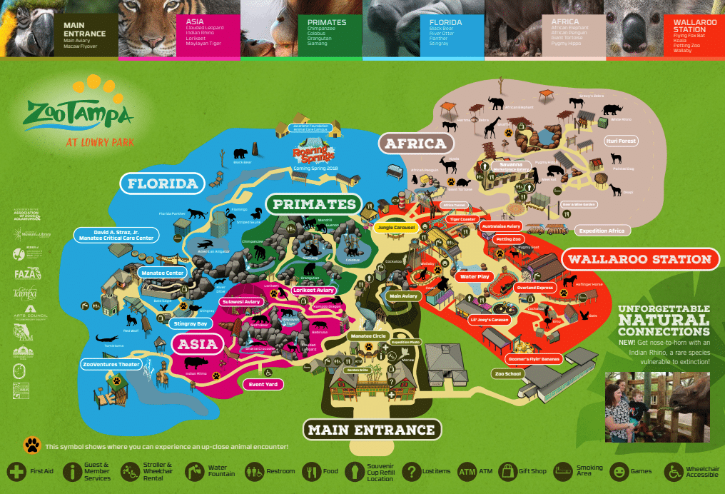 Tampa's Lowry Park Zoo Map and Brochure (2020 2024