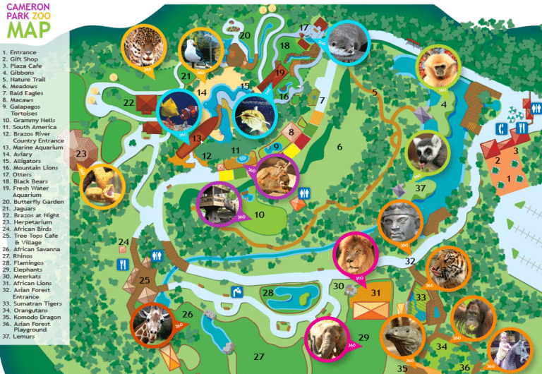 Cameron Park Zoo Map and Brochure (2024 – 2018)