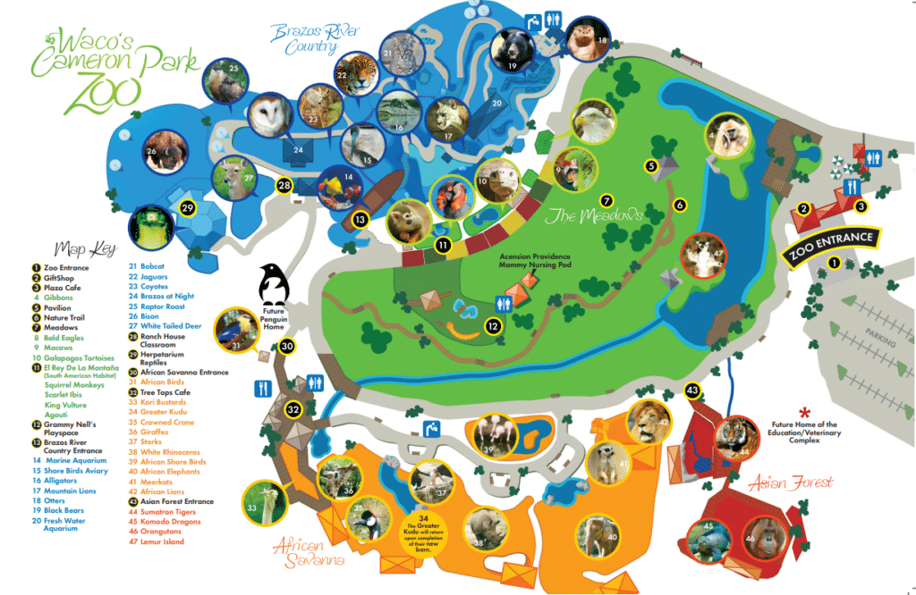 Cameron Park Zoo Map and Brochure (2018 - 2022)  ThemeParkBrochures.net