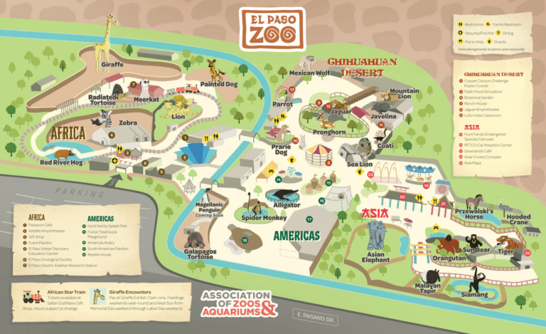 El Paso Zoo Map and Brochure (2018 – 2025)