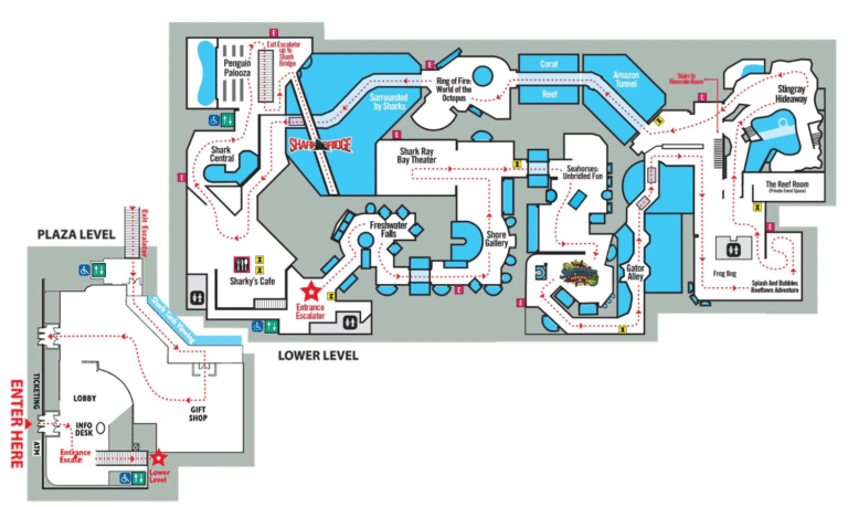 Newport Aquarium Map and Brochure (2023)