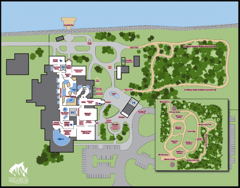 North Carolina Aquariums Roanoke Island Map and Brochure (2015 – 2023)
