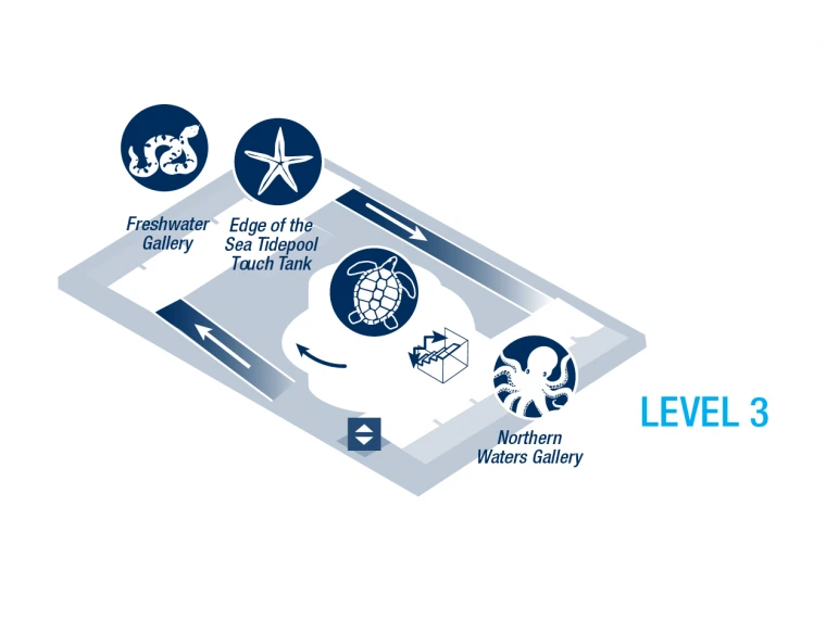 New England Aquarium Map 2022