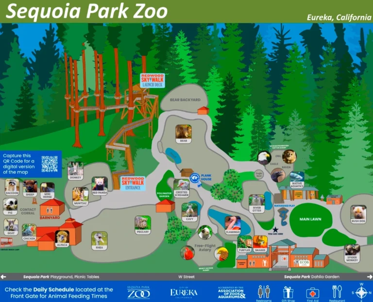 Sequoia Park Zoo Map 2022