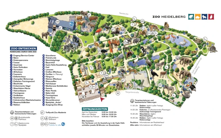 Heidelberg Zoo Map 2024