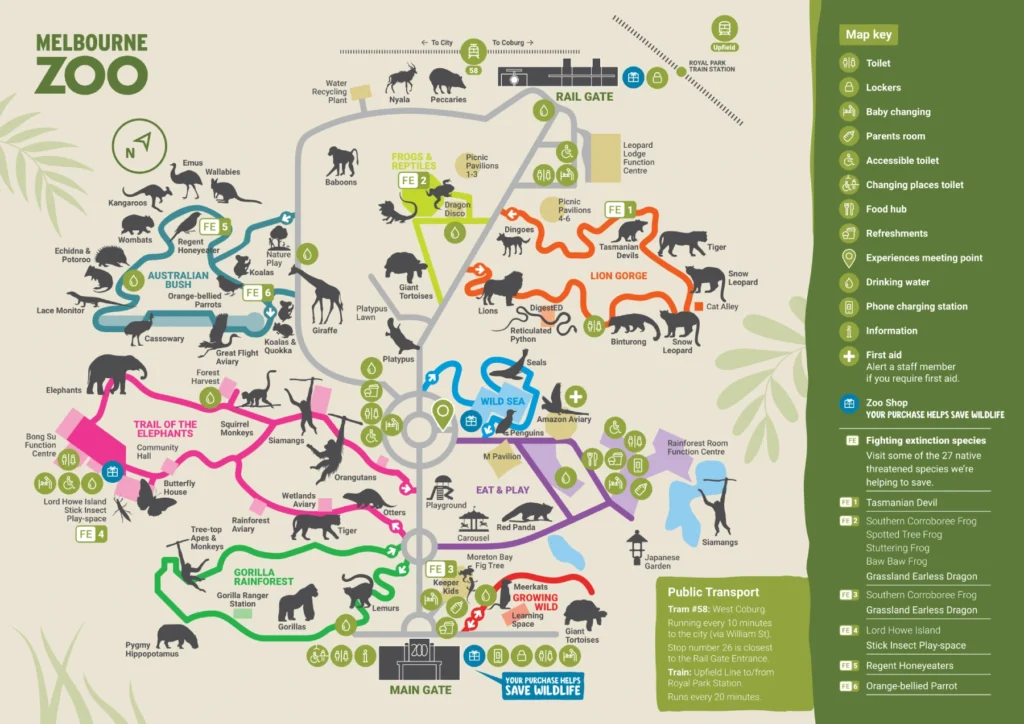 Melbourne Zoo Map 2024