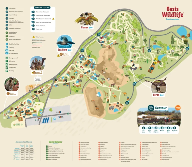 Oasis Wildlife Fuerteventura Map 2024