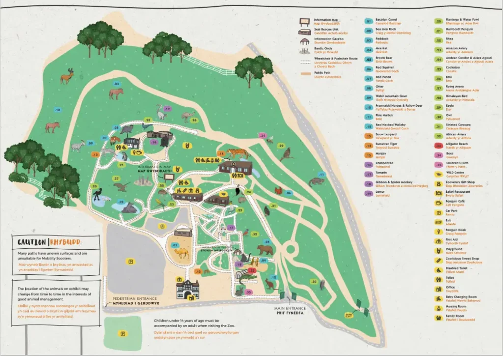 Welsh Mountain Zoo Map 2024