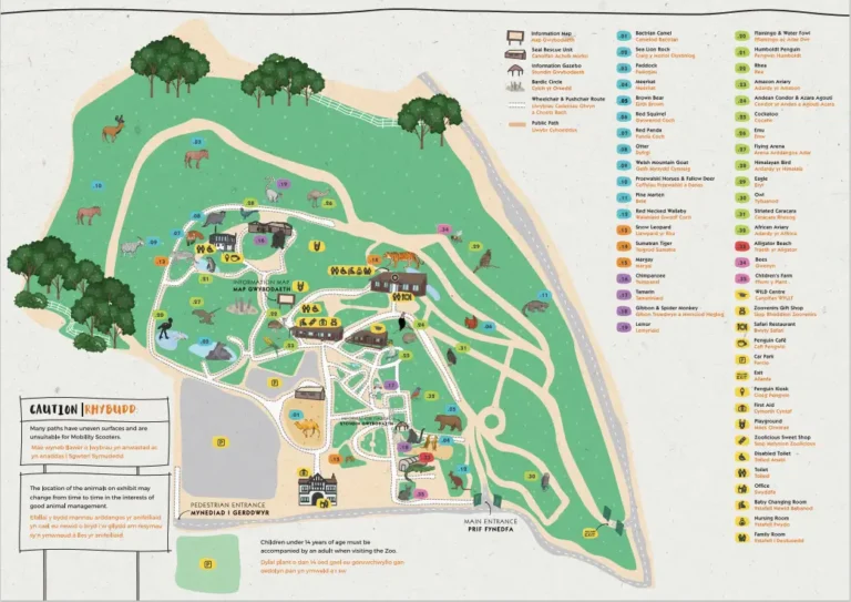 Welsh Mountain Zoo Map 2024