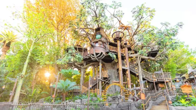 Adventureland Treehouse