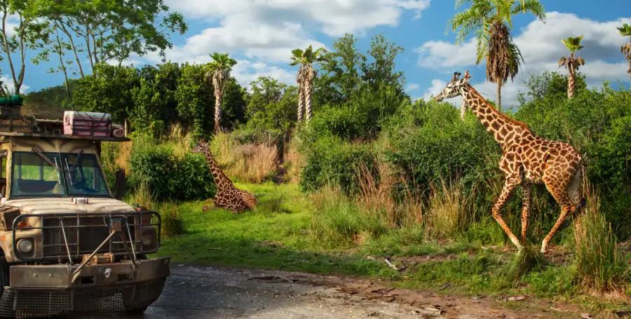 Kilimanjaro Safaris