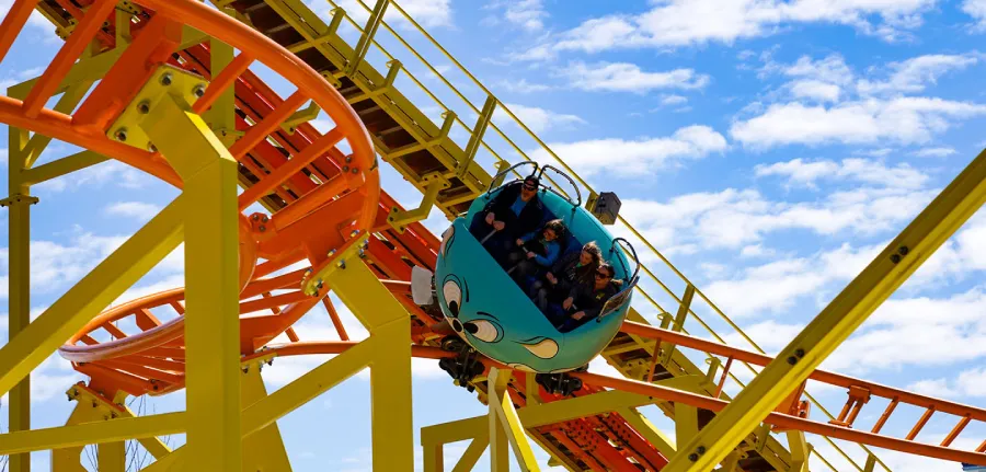 Wild Mouse