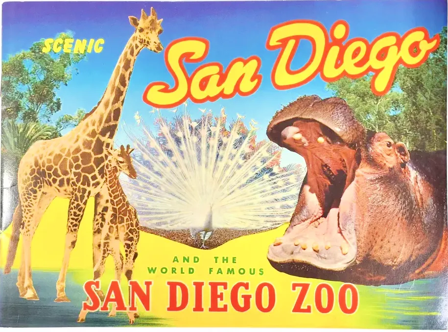 san diego zoo brochure