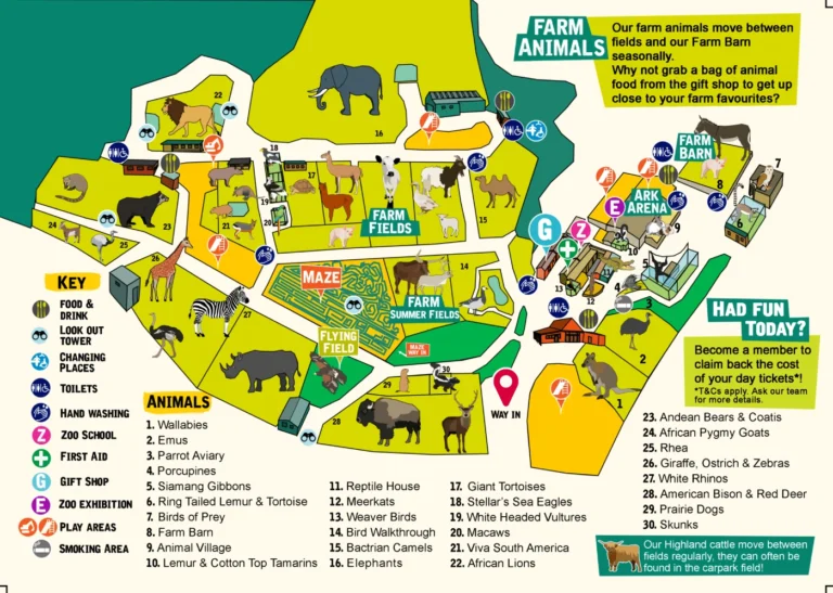 Noah's Ark Zoo Farm Map 2024