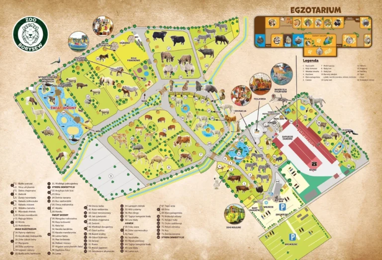 ZOO Safari Borysew Map 2024