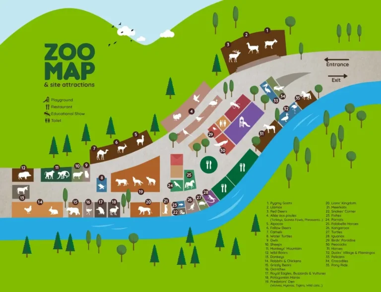 Animal City Map 2024