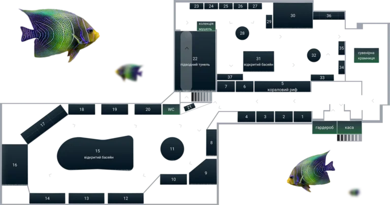 The Oceanarium Sea Fairy Tale Map 2023