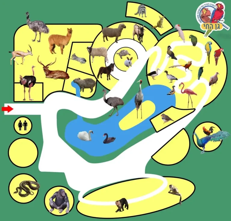 Petah Tikva Zoo Map 2022